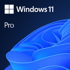Windows 11 Pro Lite
